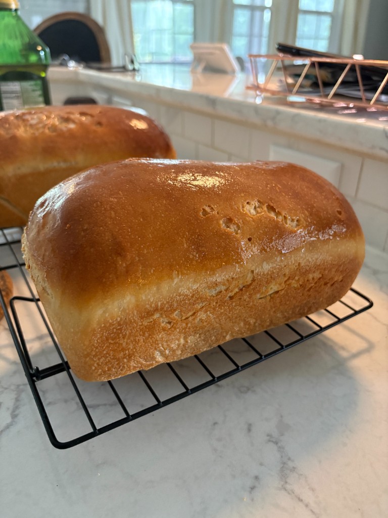 A glossy sourdough sandwich loaf cooling on a rack
