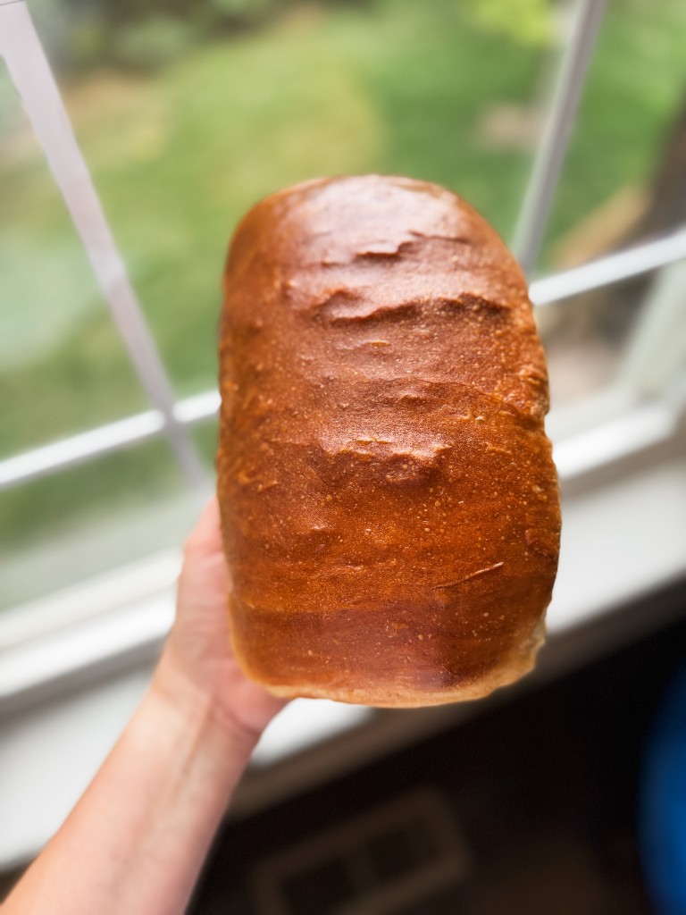 A golden sandwich loaf held beside a sunny window